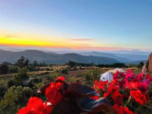 มองดูเลย โฮมสเตย์ ไฮตาก