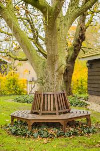 Vakantiehuis De Bonte Specht