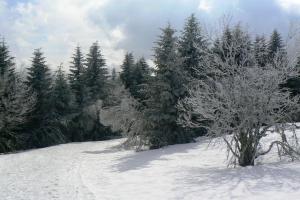 Appartements La Coudraie Villa des Familles : photos des chambres