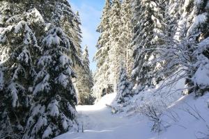 Appartements La Coudraie Villa des Familles : photos des chambres