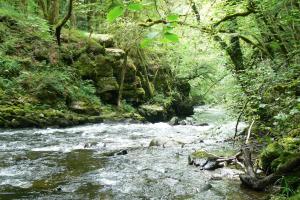 Appartements La Coudraie Villa des Familles : photos des chambres