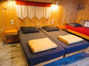 Appartements Gites Estives d'Arrens : photos des chambres