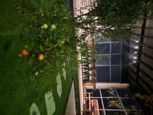 Villa Hotel Rung Thong Da Lat