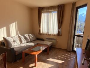 Snow Lodge Mountain view