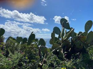 Maisons de vacances Maison mer piscine Cargese a 1 heure d-Ajaccio : photos des chambres
