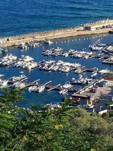 Maisons de vacances Maison mer piscine Cargese a 1 heure d-Ajaccio : photos des chambres