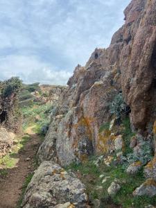 Maisons de vacances Maison mer piscine Cargese a 1 heure d-Ajaccio : photos des chambres