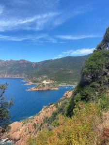 Maisons de vacances Maison mer piscine Cargese a 1 heure d-Ajaccio : photos des chambres