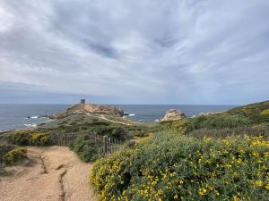 Maisons de vacances Maison mer piscine Cargese a 1 heure d-Ajaccio : photos des chambres