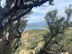 Maisons de vacances Maison mer piscine Cargese a 1 heure d-Ajaccio : photos des chambres
