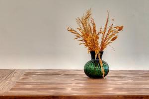 Minnesota Apartment by Mamo Florence