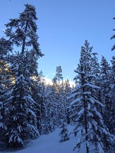 Appartements Atypique Duplex : photos des chambres