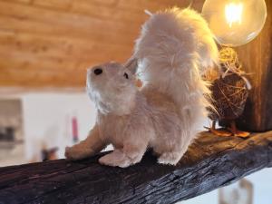 Appartements Atypique Duplex : photos des chambres