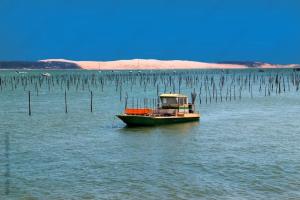 Appartements Appartement centre d-Arcachon a 400 m de la plage : photos des chambres