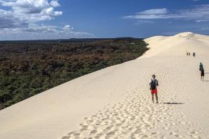 Appartements Appartement centre d-Arcachon a 400 m de la plage : photos des chambres