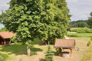 Pasieka i Dom Mazurski Mącze