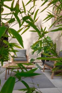 Appartements Appartement classe 3 etoiles - Canohes : photos des chambres