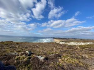 Appartements La Langouste ROUGE : photos des chambres