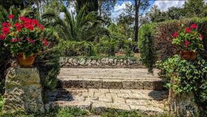 Cottage Sant Elia - Country Retreat