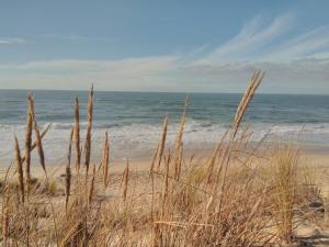 Maisons de vacances Maison familiale avec grand jardin et spa : photos des chambres