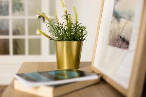 weroomies - Canela 2-2