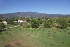 Villas Provencal farmhouse, Mont Ventoux view, 2 pools (1 heated), Bedoin - 10 people : Villa 5 Chambres 