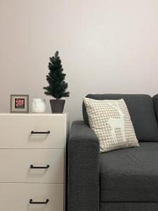 Cozy apartment in city center