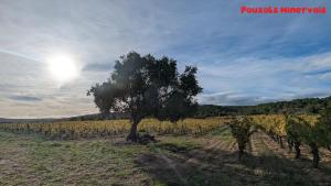 Villas La Cigota - Villa with swimming pool for 8 people : photos des chambres