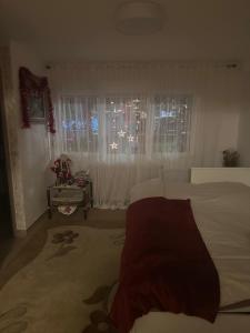 Appartements Appartement Entre Strasbourg Et Colmar - Proche d'Europa Park : photos des chambres
