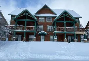 Ski in and out, pet and kid friendly, slope side townhouse - سنوشو