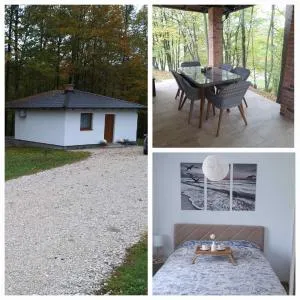 Vikendica Šššuma - Dávor