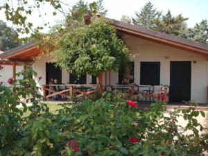 Bungalow with Garden View room in Settebello Village