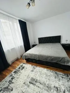 Apartament central - Topolovăţu Mare