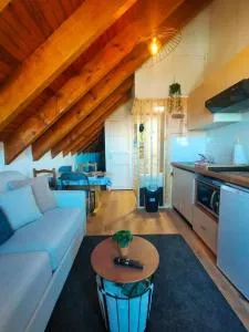 Le Nid Mansardé - Ercé