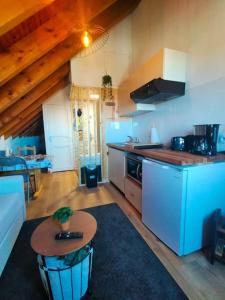 Appartements Le Nid Mansarde : photos des chambres