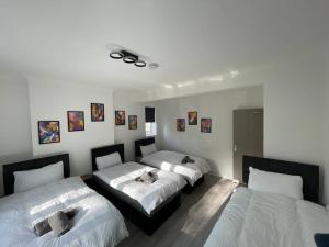 6 Single Beds - Wi-Fi - Business