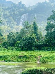 Golden Hills cottage munnar Mankulam Munnar