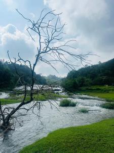 Golden Hills cottage munnar Mankulam Munnar