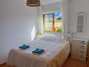Apartamento Font Rotja LAlbir