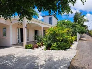 Coconut Alley - Trou dʼ Eau Douce