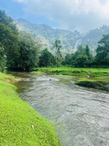 Golden Hills cottage munnar Mankulam Munnar