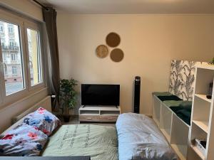 Appart strasbourg centre