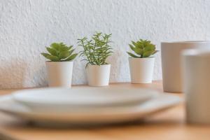 Ideal für die Entdeckerfamilie