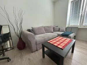 Apartment Ceska 23 - Strohhüte