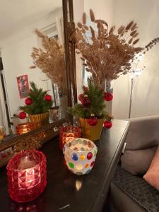 Appartements Appart Gabriel- Mourillon avec Parking : photos des chambres