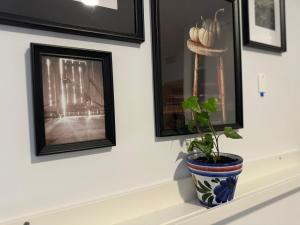 Alex Bed & Breakfast - Your Home Away including Breakfast - in a Real Home