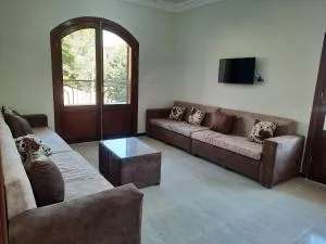 The royal flat for rent - El Asasif