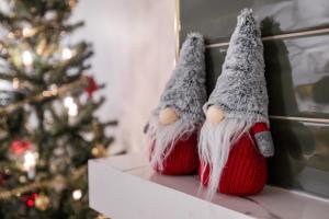 Northern Lights River