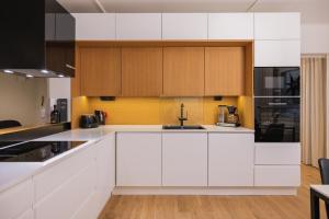 Northern Lights River