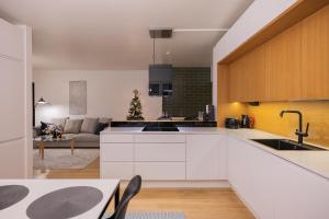 Northern Lights River